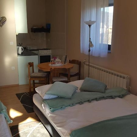 Studio Apartman Salopek Ogulin Kültér fotó