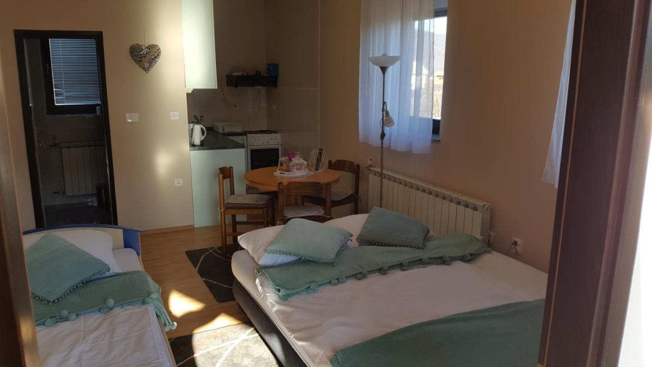 Studio Apartman Salopek Ogulin Kültér fotó